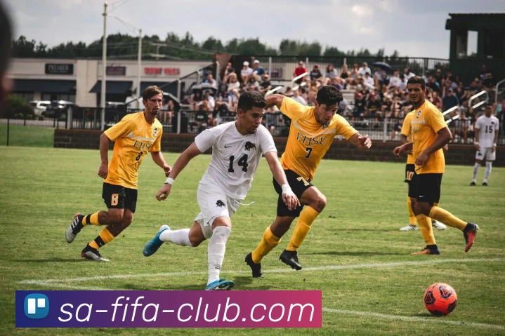 赛程平台生态图